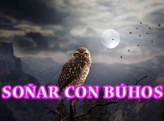 Soñar con búhos