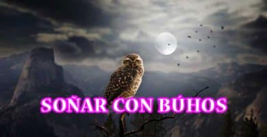 Soñar con búhos