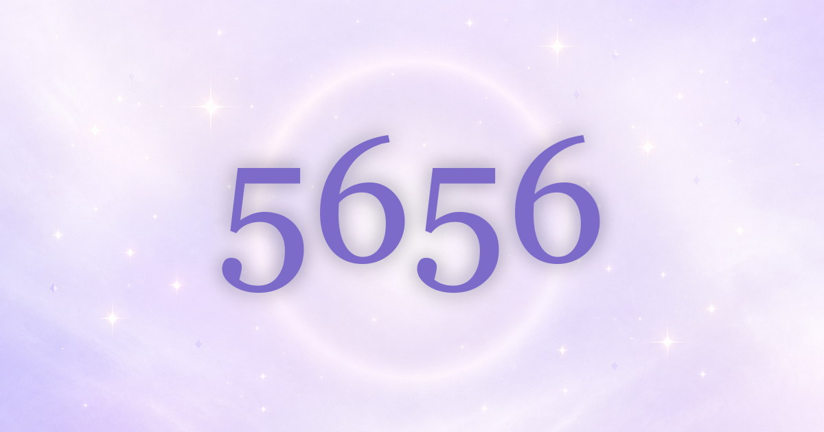 5656 aparece en tu vida: cambio, amor y la raíz del número maestro constructor